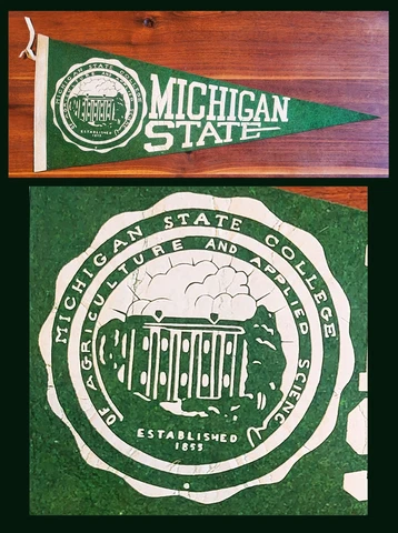 VINTAGE Michigan State College (University) Spartans  Football Pennant! WOW! Cover