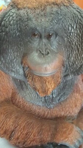 Money Box Statue Ornament Figurine Home Decor - Orangutan Large - Picture 1 of 5