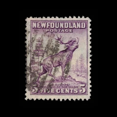 Terranova, Scott 190, Caribou, 1932-1938, usado, 111916 Foto 1 de 2