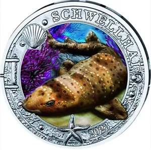 3 Euro Münze Schwellhai Serie Meereswelten Österreich 2023 - Bild 1 von 3