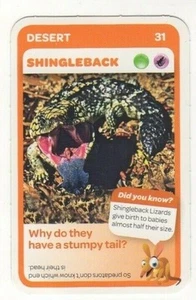 Woolworths Aussie Animals, 2014. Shingleback lizard - Picture 1 of 1