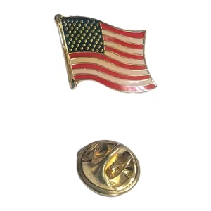 Amerikanische Flagge weht alter Ruhm patriotisch Vintage Anstecknadel kostenloser Versand - Bild 1 von 4