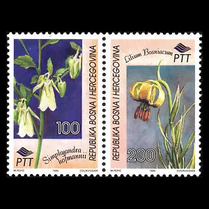 Bosnien 1995 - Flora Blumen Pflanzen - Sc 223 postfrisch - Bild 1 von 2