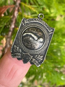 Antique Vtg 925 Sterling Silver Champion Swimming Medal Public School New York? - Picture 1 of 6