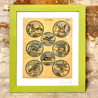 N°1300 Images de cibles, lithographie imprimerie C.Burckardt à Wissembourg, XIXe - Photo 1/4