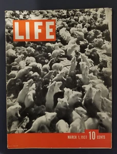 Life Magazine March 1, 1937 - Cancer, testing on rats - Foto 1 di 5