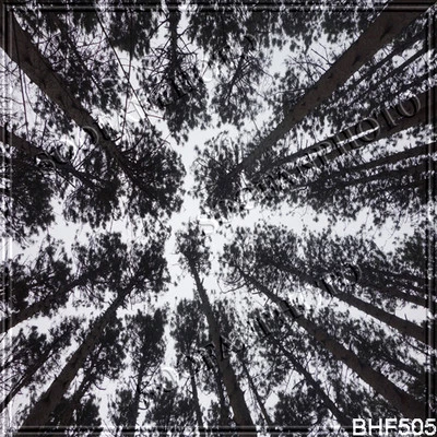 Outdoor 10'x10' Computer/digital Season Scenic Photo background backdrop BHF505 - Image 1 of 3