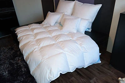 Bettdecke Decke Daunenbett Daunendecke 2000g Füllung 60%Daunen Sehr Warm 155x220 - Bild 1 von 4