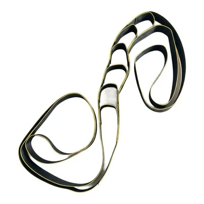 Cinturón de nailon para patinaje de velocidad para curvas 2 45 m con correa de tracción acolchada para la cintura Foto 1 de 4