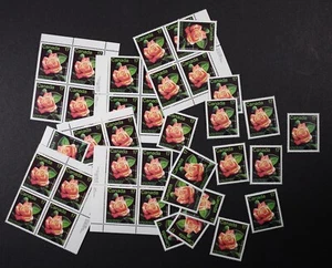 CANADA 1981 #896, 17c Montreal Rose, Wholesale x 50 stamps Mint NH Face $8.50 - Picture 1 of 1