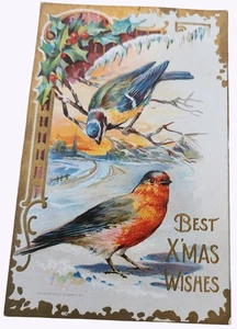 Postal de Navidad vintage de 1910 en relieve con pájaros y acebo - Imagen 1 de 2