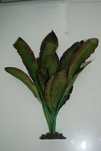 Aquarium Silk Plant Amazon Brown Leaf Plant 30 cms High For Aquariums - Picture 1 of 1
