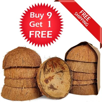 CÁSCARA DE COCO 100% Natural Puro Ecológico Ceilán Cáscara de Coco Mitades 10 piezas. Foto 1 de 4