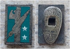 RARO DISTINTIVO ALPINO DA GRADO ANA CONSIGLIERE NAZIONALE WW2 - Foto 1 di 1