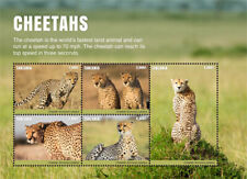 Tanzania 2017 - Wild Animals - Cheetahs - Sheet of 5 Stamps - MNH
