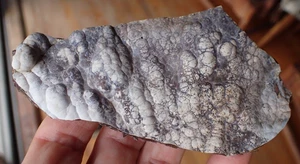 Fragmento de geoda de coral fósil botrioidal GA ágata joya gema espécimen mar WC48 - Imagen 1 de 5