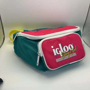 Igloo Throw Back Collection “Stay Cool” Retro 90's Teal /Pink Cooler Fanny P - Picture 1 of 6