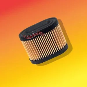 Filtro aria carta per Tecumseh # 36745 adatto per motore Tecumseh 5,5 HP Centura - Foto 1 di 2