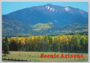 Postcard Fall Comes to the San Francisco Peaks Near Flagstaff Arizona Autumn - Picture 1 of 2