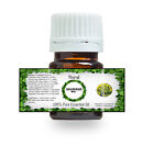 100% PURE NATURAL GALBANUM ESSENTIAL OIL 5 ML TO 100 ML FROM INDIA