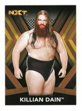 2017 Topps BRONZE WWE NXT Roster RC #7 KIllian Dain ROOKIE Card Wrestling AEW