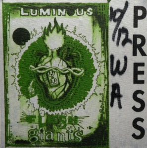 JOE SATRIANI concert photo pass Luminous Flesh Giants London England 10 Dec 1995 - Imagen 1 de 1