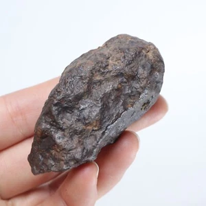 64g Chondrite Meteorite,NWA unclassified Meteorite From Northwest Africa R1074 - Picture 1 of 8