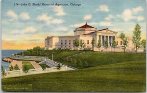 John G Shedd Memorial Aquarium Chicago IL Vintage Postcard - Picture 1 of 2