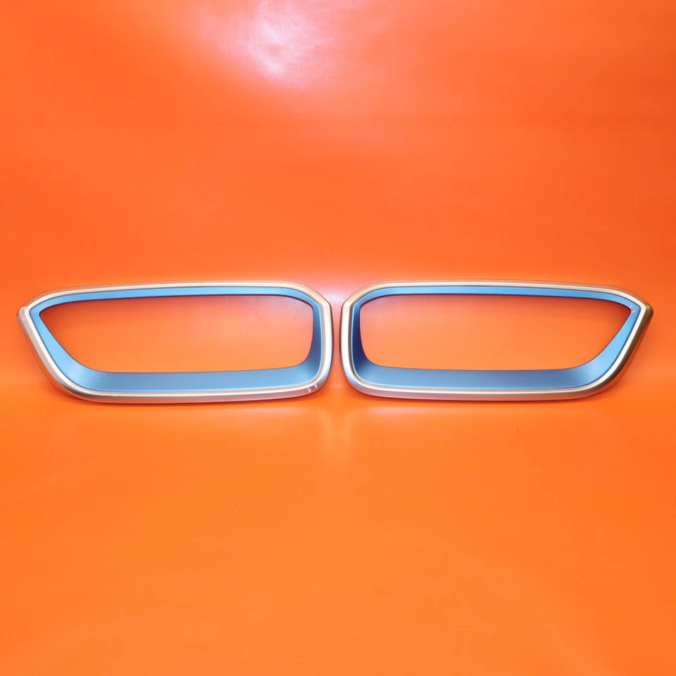 BMW I3 PARRILLA ENVOLVENTE IZQUIERDA DERECHA 2014 2015 2016 2017 2018 51137375883 OEM Foto 1 de 4