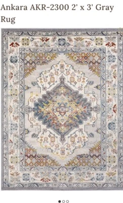 Small Oriental Rug Surya Ankara AKR2300 Area Rug 2' x 3' NEW SEALED - Image 1 of 4