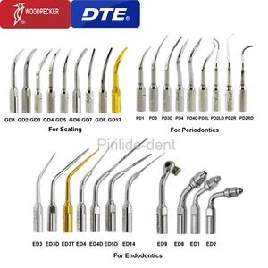 Escalador ultrasónico dental Woodpecker DTE punta escalado Endo período SATELEC ACTEON NSK - Imagen 1 de 160