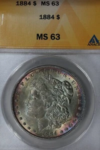1884 $1 ANACS MS 63 Morgan Silver $1, Miss Liberty Head TONED! - Picture 1 of 2
