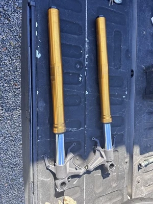 Yamaha YZF R1 2018 horquillas delanteras izquierda y derecha suspensión amortiguadora OEM par dorado Foto 1 de 4