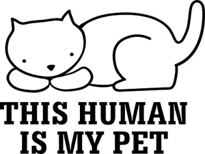 This Human Is My Pet Funny Vinyl Decal Sticker for Car/Window/Wall - Picture 1 of 2