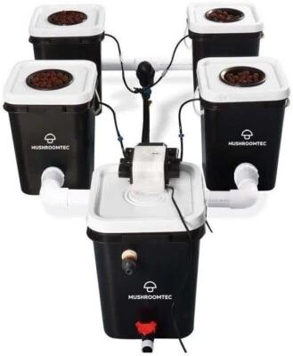 Deep Water Hydroponics Four 20 Litre Bubble Flow Buckets RDWC Hydroponic Growing - Image 1 of 2