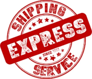 EXPRESS SHIPPING - Picture 1 of 7