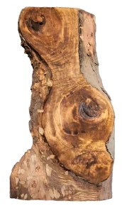 MYRTLEWOOD BURL BLANK TURNING CRAFTING WOODWORKING APPROX 28x15x2.25 IN - Picture 1 of 2