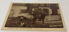 Postcard Kreider?s Pony & Dog At Home, Soudersburf, PA c1916