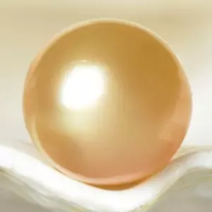 1,52g Südseeperle 9,78mm golden off-round ungebohrt Maluku Indonesien - Bild 1 von 7