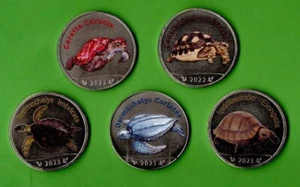 Juego de 5 monedas 2021 2022 2023 tortugas 5 rupias - Imagen 1 de 2