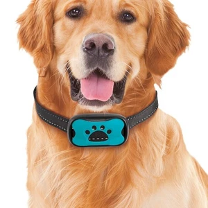 Collar antiladridos para perro - Imagen 1 de 1