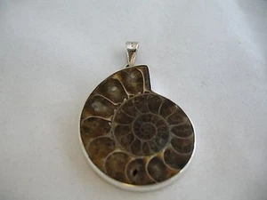 HANDMADE 925 STERLING SILVER SETTING AMMONITE FOSSIL PENDANT - Picture 1 of 4