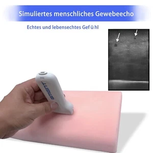 Ultraschallgeführtes Nervenblock-Trainingspunktionsmodell, medizinische Praxis - Bild 1 von 10