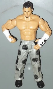 MATT HARDY v1 WWE Jakks Ruthless Aggression Series 10.5 Action Figure Toy Loose - Picture 1 of 2