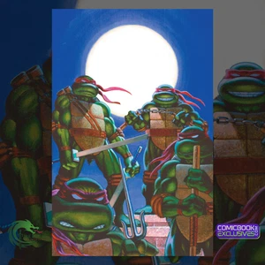 Teenage Mutant Ninja Turtles JOURNEYS #1 Peter Laird Virgin Variant /100 tmnt - Picture 1 of 2