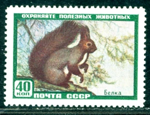 1959 Sibirisches rotes Eichhörnchen / Sciurus vulgaris varius, Wildtier, Russland, 2243, MNH - Bild 1 von 1