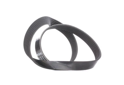 DAYCO Courroie Poly-V Courroie d'accessoire 6PK892 pour AUDI 80 Avant (8C5, B4) - Photo 1/4