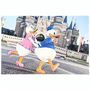 Tokyo Disney Resort Postcard Donald Duck Daisy Cinderella Castle Disneyland - Picture 1 of 2