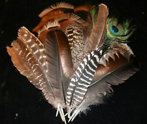 Feathers 15 Variety Turkey Peacock Natural Shed Smudging Craft Regalia