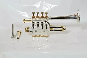 Pro Piccolo Bb CHIAVI SENZA TROMBA CUSTODIA RIGIDA E BOCCAGLIO - Oro e Argento - Foto 1 di 5